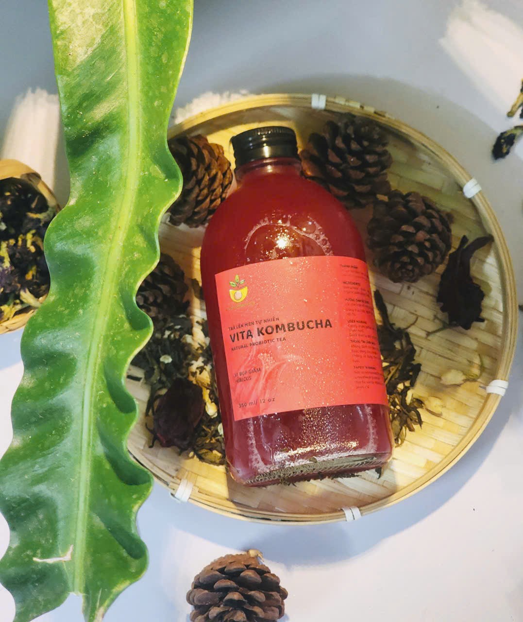Kombucha Bụp Giấm / Kombucha Hibicus